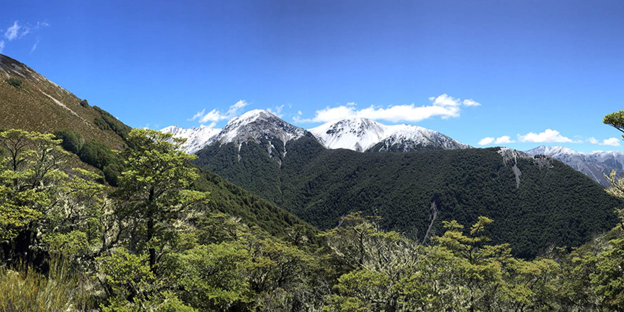 Selwyn District New Zealand Official Site From The Mountains Selwyn.nz