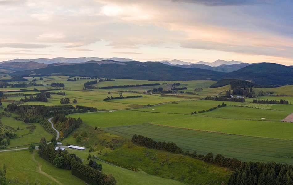 Selwyn District New Zealand Official Site - From The Land | Selwyn.nz