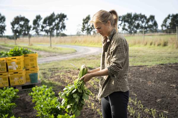 Woman in vegetable crop field 